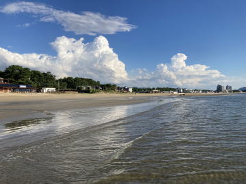 �����񍐎ʐ^